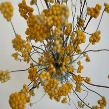 Dried achillea - natural yellow (bunch)