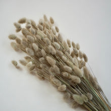 Dried lagarus (bunny tails) - natural (bunch)