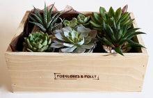 A selection of succulents set in either 4 or 6 pots in a locally handmade wooden box.